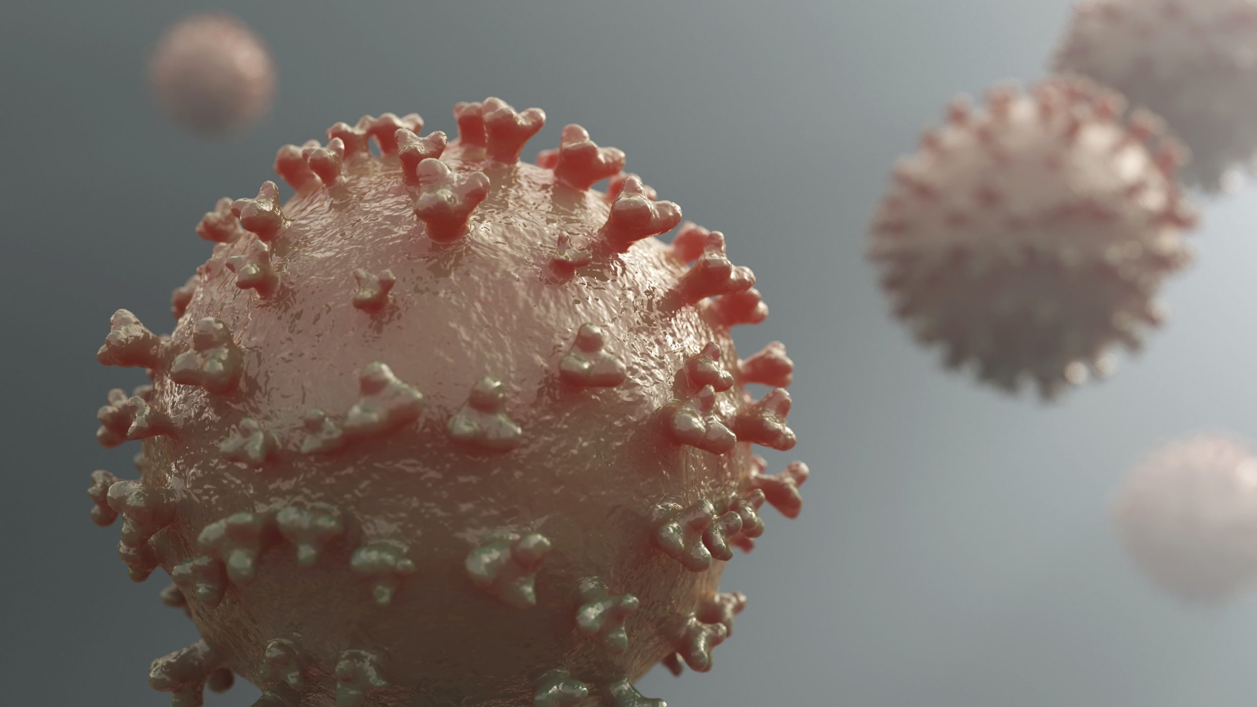 Bild eines Coronaviruses.